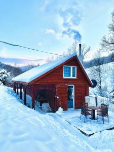 斯托尼拉斯奇的住宿－Chata Ignasia pod Śnieżnikiem 1 na działce，雪中带桌子的小木屋
