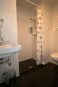 a bathroom with a shower and a sink and a toilet at 't Achterhuis (8 persons) in Otterlo