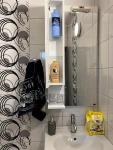 ein Bad mit einem Waschbecken, einem Spiegel und einer Dusche in der Unterkunft Aleksandra in Subotica
