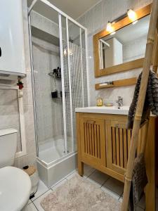 a bathroom with a shower and a toilet and a sink at Appartement cosy avec vue mer in Stella-Plage