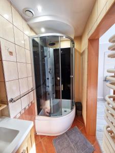 a bathroom with a shower and a sink at Domek pod świerkami in Kudowa-Zdrój