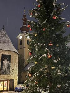Zdjęcie z galerii obiektu Appartamento Isa w mieście Tarvisio