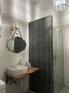 La salle de bains est pourvue d'un lavabo et d'une douche. dans l'établissement App di Tania, à Reggio d'Émilie