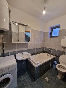 uma casa de banho com um lavatório, uma banheira e um WC. em Apartments Đurđić em Žabljak