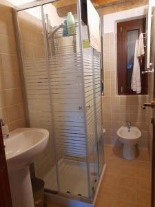 ein Bad mit einer Dusche, einem Waschbecken und einem WC in der Unterkunft Il nido in Castel di Sangro
