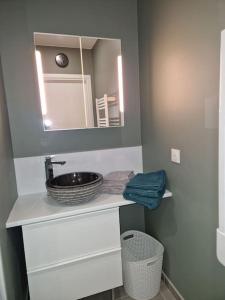 een badkamer met een wastafel en een spiegel bij Bel Appart - Rez-de-chaussée - Hyper centre in Saint-Omer