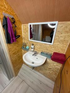 a bathroom with a sink and a mirror at Haus Geyken / Finnen Fass in Südbrookmerland