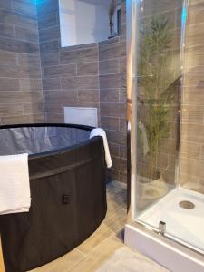 La salle de bains est pourvue d'une douche et d'un lavabo. dans l'établissement Le Spa de la Cathédrale - Jacuzzi - Sauna - Champagne - Netflix - Wifi, à Troyes