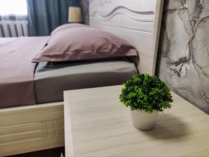 una pianta in vaso seduta su un tavolo accanto a un letto di 2-х комнатная квартира в центре на ул.Бородина 107 a Qostanay