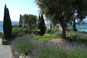 un giardino con fiori e alberi viola di Lou Marcelou - Apartment Two a Sainte-Croix-de-Verdon