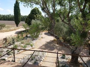 Κήπος έξω από το Gite Amandier, Ferme Bel Air, Riez +13 φωτογραφίες