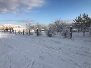 a snow covered field with a fence and a snowy road at Kantonia in Bobolice