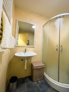 a bathroom with a sink and a shower and a toilet at Condo 21 in Belgrade