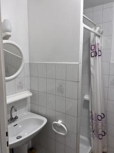 ein kleines Bad mit einem Waschbecken und einer Dusche in der Unterkunft Résidence Thalassum in Bourbonne-les-Bains