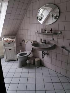 a bathroom with a toilet and a sink and a mirror at Pension Weidengrund in Walsrode