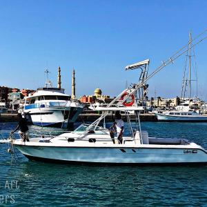 a white boat in the water with other boats at Shahin Art Charters in Hurghada