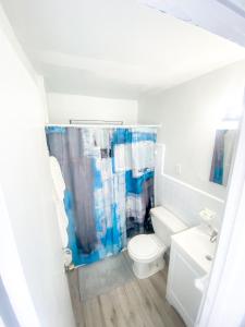 ein Badezimmer mit einem weißen WC und einem blauen Duschvorhang in der Unterkunft Uptown Inn & Suites in St Petersburg