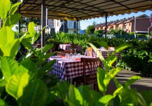 Fotografia z galérie ubytovania Trattoria Due Citroni v destinácii Casalgrasso