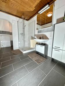 a bathroom with a shower and a sink at Ferienwohnung Apolo in Münstermaifeld