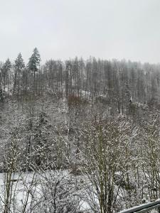 un campo cubierto de nieve con árboles en el fondo en Ferienhaus Andrea am Bodetal, en Treseburg