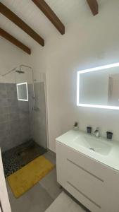 bagno bianco con doccia e lavandino di T2 Climatisé avec wifi à Sainte-Anne en campagne a Sainte-Anne
