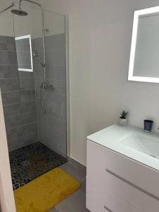 bagno con doccia e tappeto giallo di T2 Climatisé avec wifi à Sainte-Anne en campagne a Sainte-Anne
