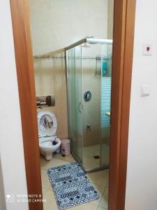 a bathroom with a glass shower and a toilet at Apartment Amdar Village with garden in Eilat