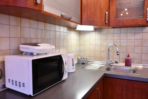 Kuchyňa alebo kuchynka v ubytovaní Apartament Granit