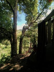 a view from a cabin in the woods with trees at Valchi Hospedaje de Montaña in El Copey