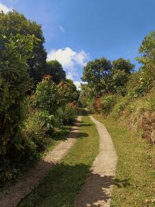 a dirt road with grass and trees on both sides at Valchi Hospedaje de Montaña in El Copey