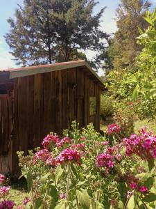 a wooden shed in a garden with pink flowers at Valchi Hospedaje de Montaña in El Copey