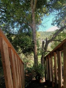 a wooden deck with a tree in the background at Valchi Hospedaje de Montaña in El Copey