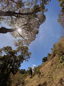 einen Blick auf die Sonne durch Bäume auf einem Hügel in der Unterkunft Valchi Hospedaje de Montaña in Copey
