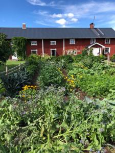 Zahrada ubytování Torpgården Önnerudsvägen 56