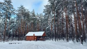 małą drewnianą kabinę w śnieżnym lesie z ławką w obiekcie Domki w Sosnowym Lesie w mieście Rembów