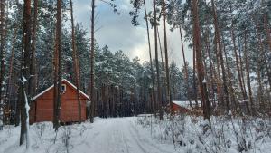 domek w lesie ze śniegiem na ziemi w obiekcie Domki w Sosnowym Lesie w mieście Rembów