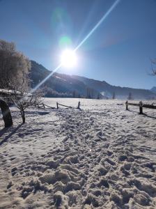 Paesaggio naturale nelle vicinanze dell'appartamento