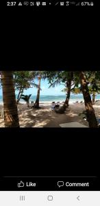 uma imagem de uma praia com árvores e o oceano em CASA BETTY COSTAMBAR em San Felipe de Puerto Plata