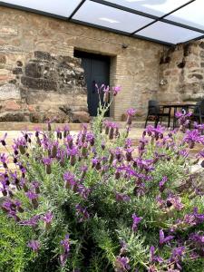 un jardín con flores púrpuras frente a un edificio en La Bodega, en Andújar