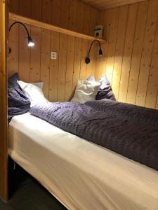 a bed in a room with two lights on it at Chalet Weidli in Achseten