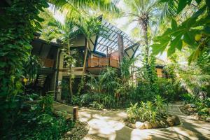 a house in the middle of a forest with palm trees at Hotel Bosque del Mar Playa Hermosa in Playa Hermosa