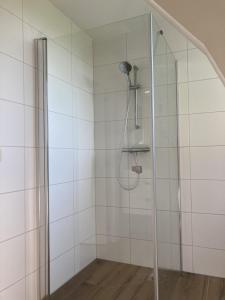 een badkamer met een douche en een glazen deur bij Landhuis 'De Ontspanning' in Axel