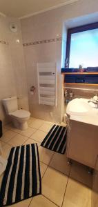 baño con lavabo y aseo y ventana en Gīte du café Truchet en Saint-Pancrace