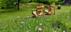 Ogród w obiekcie Les Paroules - Luxury Dordogne - Holiday Farmhouses.