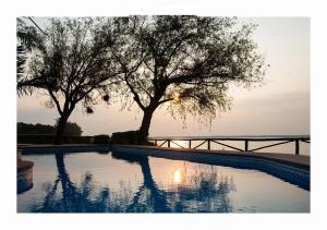 una piscina con dos árboles en el fondo en Lofts y cabañas del Puerto en Ituzaingó