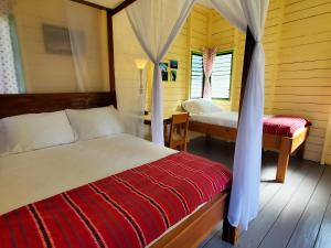 a bedroom with a bed and a desk and a bed sidx sidx sidx at Lower Dover Jungle Lodge & Maya Ruins in Unitedville