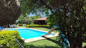 una piscina en un patio con un árbol en Numa Boa HOSTEL Búzios, en Búzios