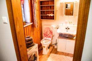 a small bathroom with a toilet and a sink at Haus Alexander in Fresach