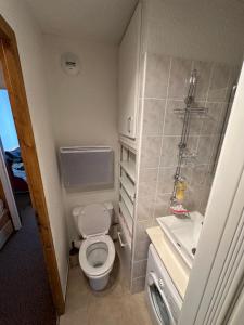 ein kleines Bad mit WC und Waschbecken in der Unterkunft Appartement Les Carroz d'Araches 4 à 6 couchages in Les Carroz d'Araches
