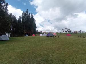 un grupo de tiendas sentadas en un campo en Camping Las Acacias, en Guatavita